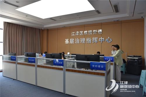 重慶江津區(qū)人民政府信息技術(shù)咨詢(xún)服務(wù) 驅(qū)動(dòng)數(shù)字化轉(zhuǎn)型與區(qū)域發(fā)展